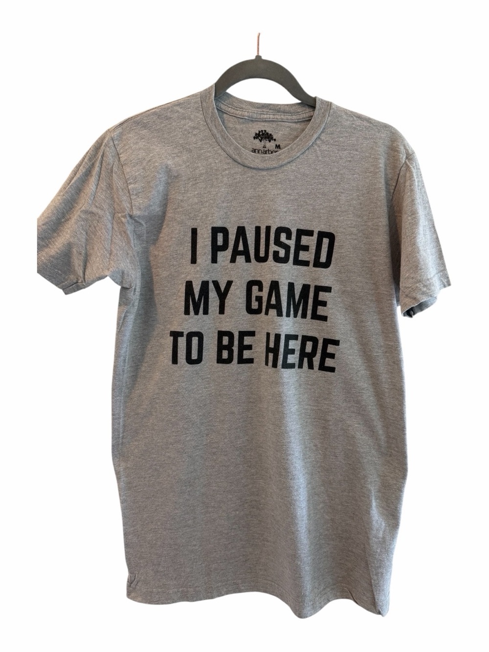 Grey Graphic Short Sleeve Tee - 'I Paused My Game To Be Here' - Picture 2 of 5